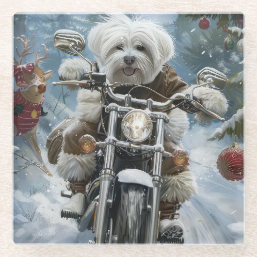 Coton De Tulear Hond Rijden Motorfiets Kerstmis Glazen Onderzetter (Voorkant)
