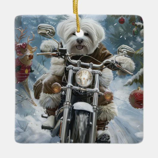 Coton De Tulear Hond Rijden Motorfiets Kerstmis Keramisch Ornament (Voorkant)