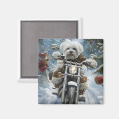 Coton De Tulear Hond Rijden Motorfiets Kerstmis Magneet (Voorkant / Achterkant)