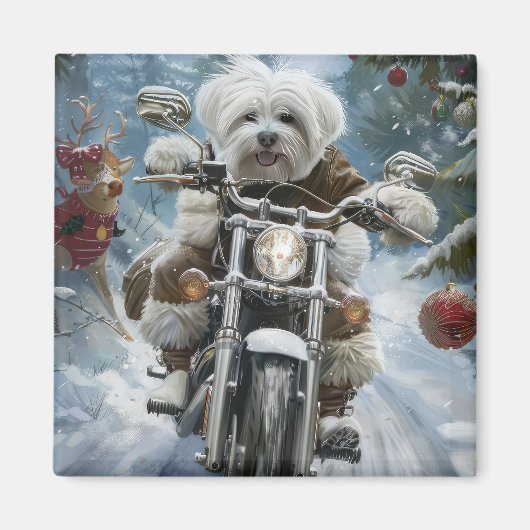 Coton De Tulear Hond Rijden Motorfiets Kerstmis Magneet (Voorkant)