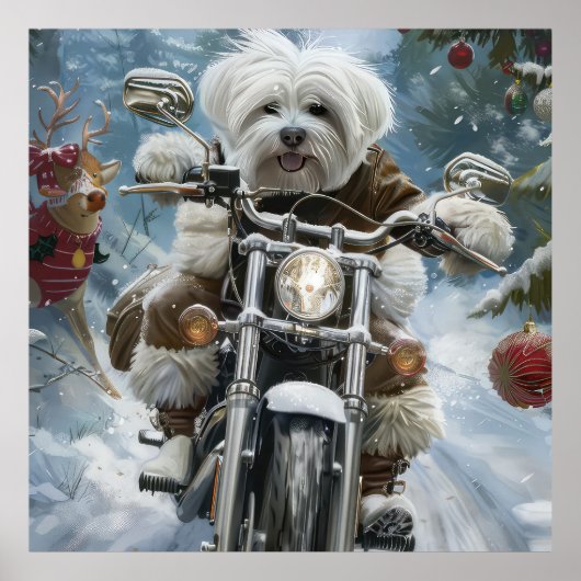 Coton De Tulear Hond Rijden Motorfiets Kerstmis Poster (Voorkant)