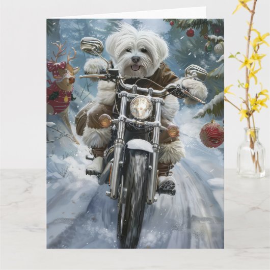 Coton De Tulear-hond rijdt op motorfiets Kerstmis  Kaart (Gele Bloem)