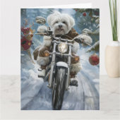 Coton De Tulear-hond rijdt op motorfiets Kerstmis  Kaart (Voorkant)