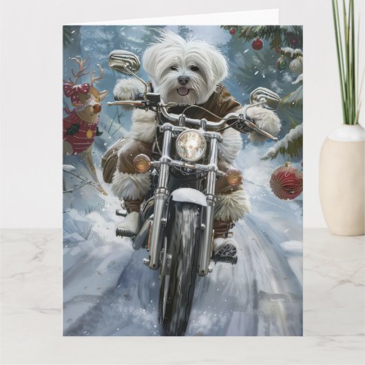 Coton De Tulear-hond rijdt op motorfiets Kerstmis  Kaart (Voorkant)