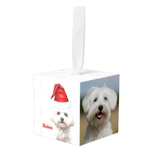 Coton de Tulear Hond Twee Foto Kerstvakantie Decoratie (Voorkant hoekig)