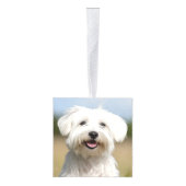 Coton de Tulear Hond Twee Foto Kerstvakantie Decoratie (Rechts)