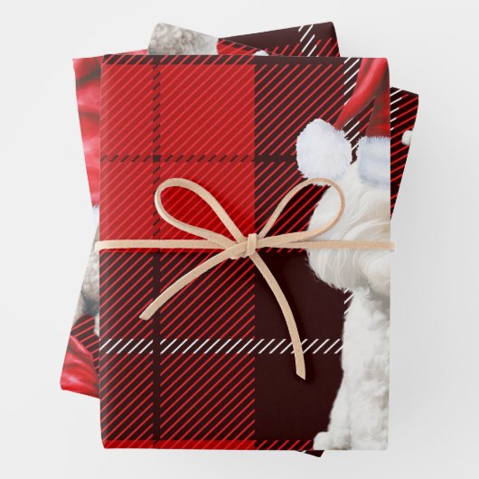 Coton de Tulear Hond Vakantie Red Plaid Kerstmis Inpakpapier Vel (In situ)