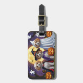 Coton De Tulear Honden Pompoen Halloween Grappig Bagagelabel (Voorkant verticaal)
