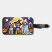 Coton De Tulear Honden Pompoen Halloween Grappig Bagagelabel (Achterkant horizontaal)