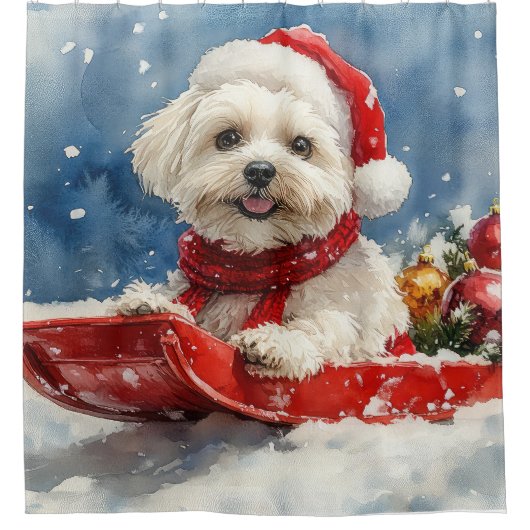 Coton De Tulear in Sledge Laat het Sneeuw Kerstmis Douchegordijn (Voorkant)