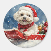 Coton De Tulear in Sledge Laat het Sneeuw Kerstmis Magneet (Voorkant)