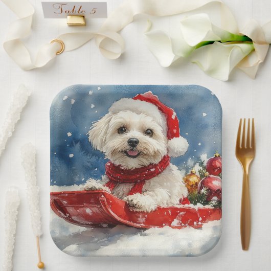 Coton De Tulear in Sledge Laat het Sneeuw Kerstmis Papieren Bordje (Huwelijk)