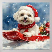 Coton De Tulear in Sledge Laat het Sneeuw Kerstmis Poster (Voorkant)
