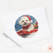 Coton De Tulear in Sledge Laat het Sneeuw Kerstmis Ronde Sticker (Envelop)