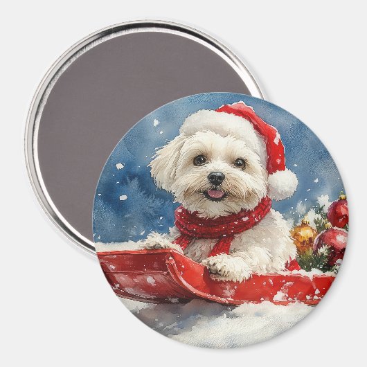 Coton De Tulear in Sledge Laat het Sneeuwen Kerstm Magneet (Voorkant / Achterkant)