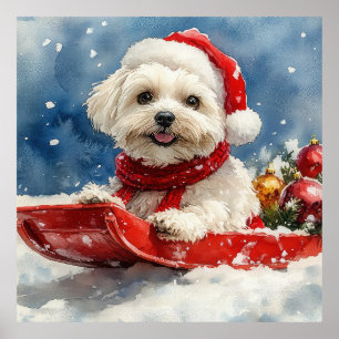 Coton De Tulear in slee Let it Snow Kerstmis Poster