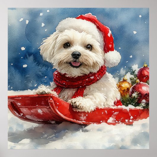 Coton De Tulear in slee Let it Snow Kerstmis Poster (Voorkant)
