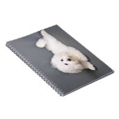 Coton de Tulear - Joci Notitieboek (Rechterzijde)