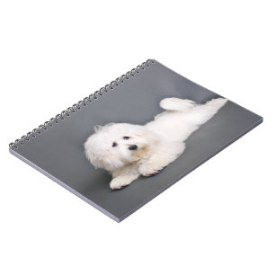 Coton de Tulear - Joci Notitieboek