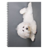 Coton de Tulear - Joci Notitieboek (Voorkant)