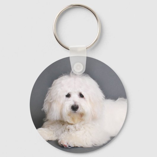 Coton de Tulear - Joci Sleutelhanger (Voorkant)