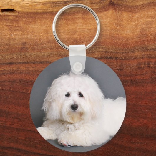 Coton de Tulear - Joci Sleutelhanger (Voorkant)