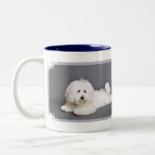 Coton de Tulear - Joci Tweekleurige Koffiemok (Links)