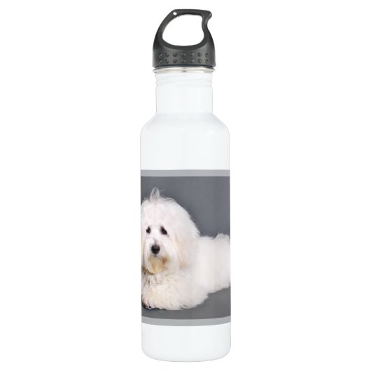 Coton de Tulear - Joci Waterfles (Voorkant)