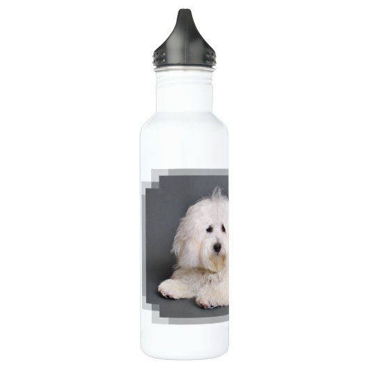 Coton de Tulear - Joci Waterfles (Links)