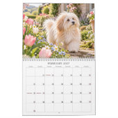 Coton de Tulear kalender (Feb 2027)