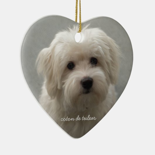 Coton de Tulear Keramisch Ornament (Rechts)
