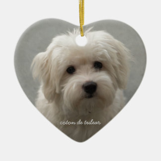 Coton de Tulear Keramisch Ornament