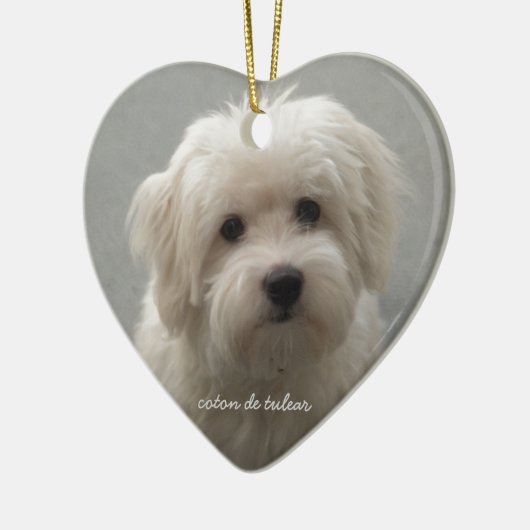 Coton de Tulear Keramisch Ornament (Links)