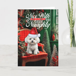 Coton de Tulear Kersthond Naughty Nice Feestdagen Kaart