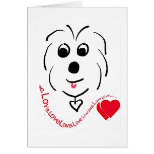 Coton de Tulear Love