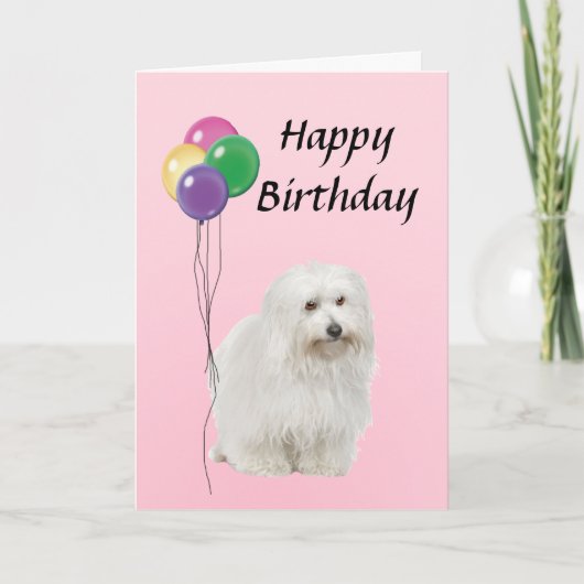 Coton De Tulear met ballonnen Happy Birthday Kaart (Voorkant)