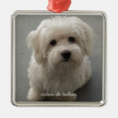 Coton de Tulear Metalen Ornament (Voorkant)