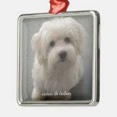 Coton de Tulear Metalen Ornament (Links)
