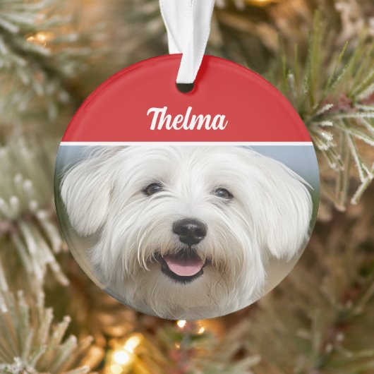 Coton de Tulear Naam Foto Vakantie Kerstmis Ornament (Boom)