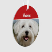 Coton de Tulear Naam Foto Vakantie Kerstmis Ornament (voorkant)