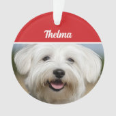 Coton de Tulear Naam Foto Vakantie Kerstmis Ornament (voorkant)