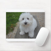 Coton de Tulear op bank Muismat (Met muis)