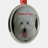 Coton de Tulear ornament (Rechts)