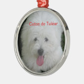 Coton de Tulear ornament (Links)