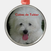 Coton de Tulear ornament (Voorkant)