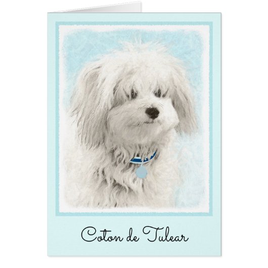 Coton de Tulear Painting - Cute Original Dog Art (Voorkant)