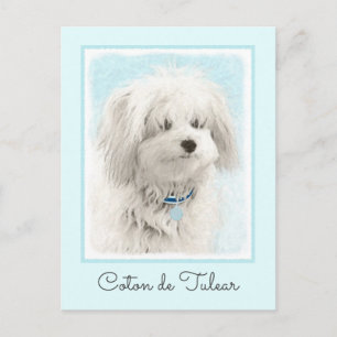 Coton de Tulear Painting - Cute Original Dog Art Briefkaart