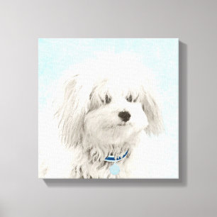 Coton de Tulear Painting - Cute Original Dog Art Canvas Afdruk
