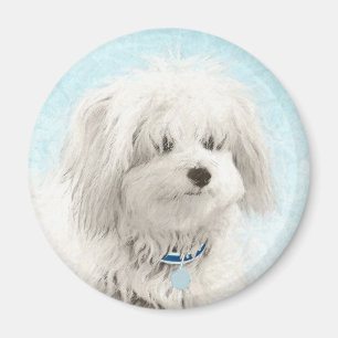 Coton de Tulear Painting - Cute Original Dog Art Magneet
