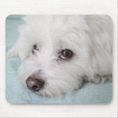 Coton de Tulear Puppy Eyes Muismat (Voorkant)